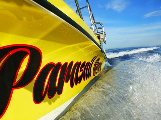 Bote para parascending